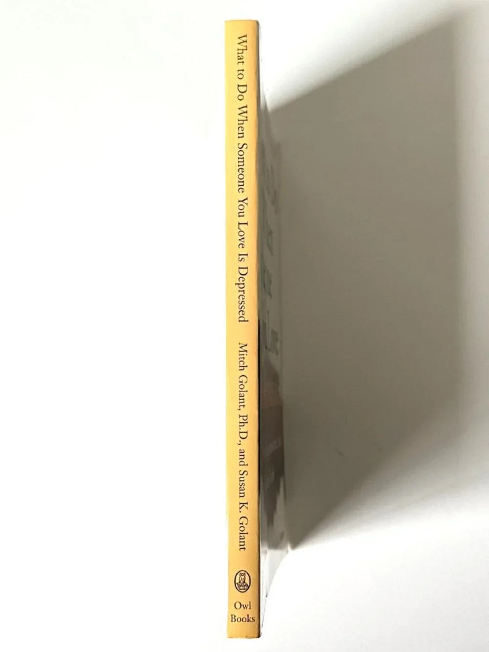 Owl Books / Henry Holt & Company what do